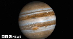 Five planets line up with Moon in night sky