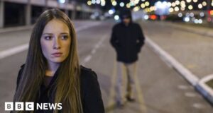 MPs approve plans to make street sexual harassment a crime