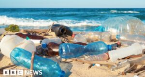 Could waste plastic become a useful fuel source?