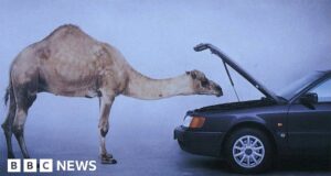 Has social media killed the famous advert?