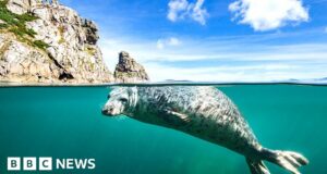 Extreme travel: It just got harder to see every place in the world