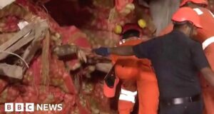 Eight killed by deluge of potatoes after roof collapse