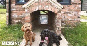 Car-charging and dog hotels: Seven perks to lure you to the office
