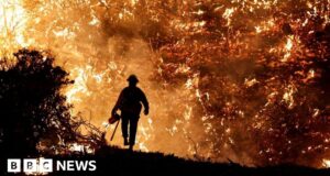 UN climate report: Scientists release ‘survival guide’ to avert climate disaster