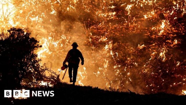 UN climate report: Scientists release ‘survival guide’ to avert climate disaster