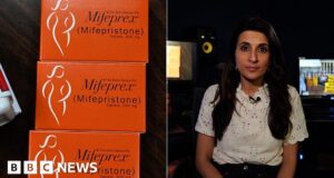 What are abortion pills and could they be banned?