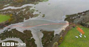 Poole oil leak not as bad as first thought, says harbour commissioner