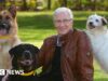 Watch: Paul O’Grady’s life on screen
