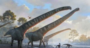 Meet the dinosaur that had a record-breaking neck longer than a school bus