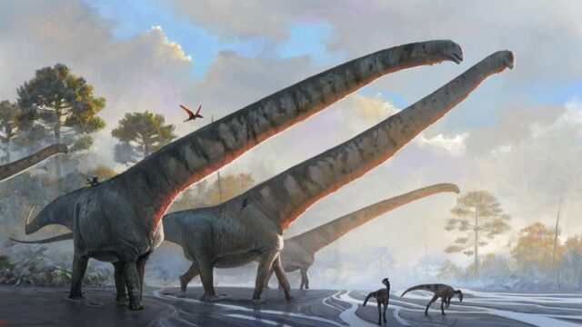 Meet the dinosaur that had a record-breaking neck longer than a school bus