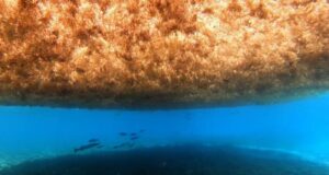Video: A blob twice the width of the US is heading towards Florida’s coast