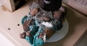 Brazilian researchers find ‘terrifying’ plastic rocks on remote island