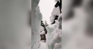 Man builds 12-foot-tall snow tunnel to get out of home