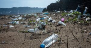 The plastic water bottle industry is booming. Here’s why that’s a huge problem