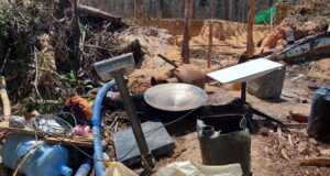 SpaceX’s Starlink devices found in illegal mining sites in the Amazon