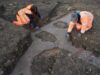 ‘Vibrant’ Roman mosaic discovered under supermarket construction site