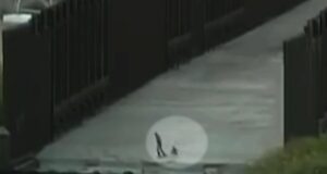 ‘Incredible video’: Anchor reacts to footage showing 1-year-old abandoned at US-Mexico border