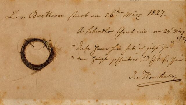 230324112657-04-wonder-theory-nl-0324-beethoven-hair.jpg