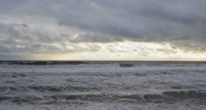 A 1,500 pound great white shark named ‘Breton’ is currently swimming off the coast of North Carolina