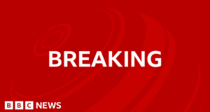 Alabama shooting: Four dead at 16th birthday party