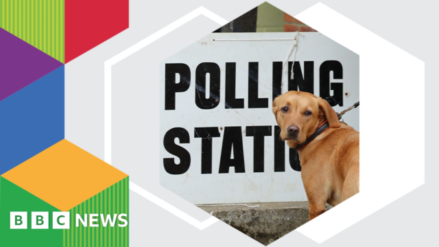 _128993199_le_2022_index_promo_is_there_an_election-nc.png