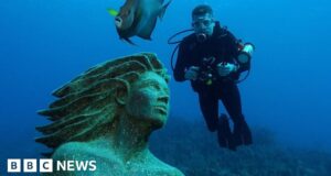 ‘You will be immortalised underwater’