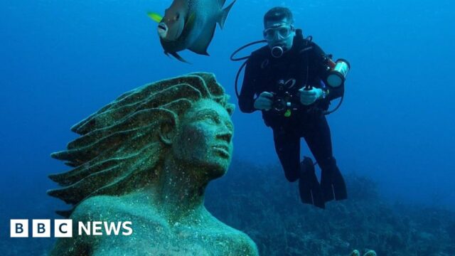 ‘You will be immortalised underwater’