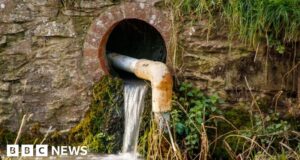 Sewage entered rivers and seas on average 825 times a day last year