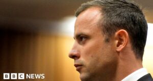 Oscar Pistorius parole bid collapses in South Africa
