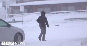 Norway avalanches: Tourists among four killed in north of country