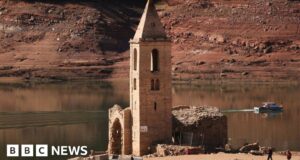 Climate change: Catalonia in grip of worst drought in decades