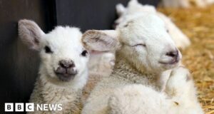 Week in pictures: 1 – 7 April 2023