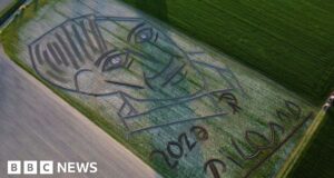 Giant sketch in field marks Picasso death anniversary