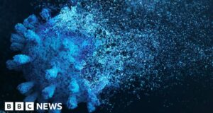 Million-year-old viruses help fight cancer, say scientists