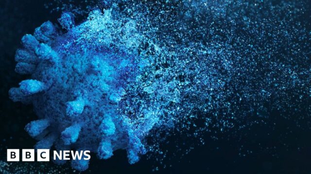 Million-year-old viruses help fight cancer, say scientists
