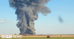 Texas dairy farm explosion kills 18,000 cows