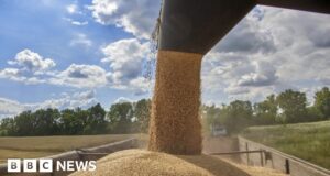 EU rejects Ukraine grain bans by Poland and Hungary