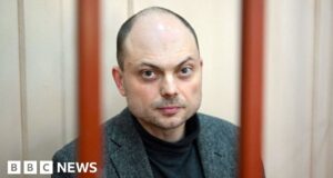 Vladimir Kara-Murza: Russian opposition figure jailed for 25 years
