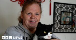 Cost of living: Pet owner would ‘rather starve’ to feed cats