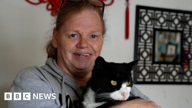 Cost of living: Pet owner would ‘rather starve’ to feed cats