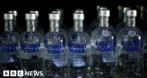 Absolut Vodka halts exports to Russia after backlash