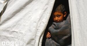 Syria earthquake: Survivors in Idlib feel forgotten