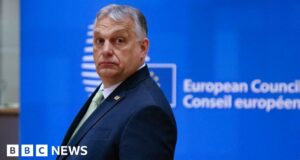 Ukraine in Nato: Orban casts doubt on long-term membership plan