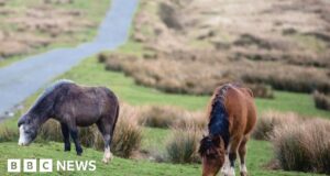 Brecon Beacons: Bannau Brycheiniog rebrand shows why names matter