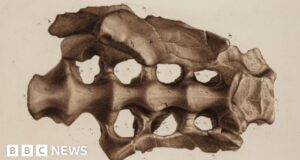 Royal Society: Four incredible objects that made science history
