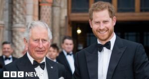 King Charles tried to stop Prince Harry’s hacking claim, court hears