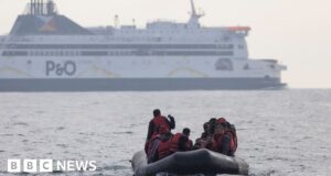 Illegal Migration Bill passes as Tory rebellion defused