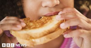 Cost of homemade cheese sandwich soars by more than a third