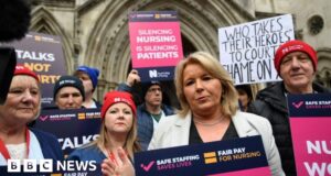 Nurses’ strike in England to be cut short after court ruling