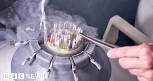 Sperm donor who fathered 550 children ordered to stop